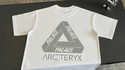 [GOOD] 공용 아ㅋ테릭스 X 팔라스 티셔츠 2컬러
