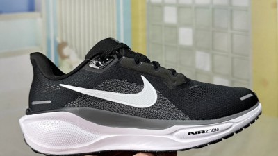 [공용] 나ㅇ키 페가수스 41