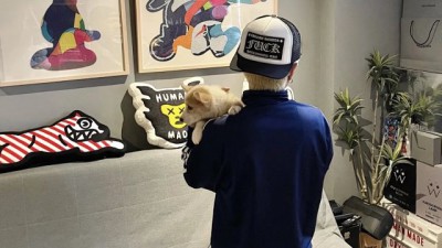 [한정수량] 크ㄹ하츠 퍽 할리우드 트러커햇